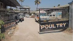 Nandurbar Bird Flu Culling Operation : नंदुरबारच्या नवापूरमध्ये  बर्ड फ्ल्यूचा कहर! आणखी तीन पोल्ट्री फार्मचा अहवाल पॉझिटिव्ह, पुन्हा मोठे कलिंग ऑपरेशन राबवणार