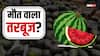 Mumbai News: एक ही परिवार के 4 लोगों की मौत में चौंकाने वाला खुलासा, तरबूज के सैंपल में क्या मिला?