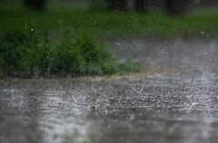 West Bengal Weather Update: কতদিন চলবে ঝড়বৃষ্টি ? আগামী কয়েকদিন কলকাতায় আবহাওয়া কেমন থাকবে ?