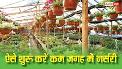 मात्र इतने रुपये लगाकर शुरू करें पौधों का बिजनेस, मंथली कमाई 50000 के पार
