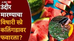 मुंबईतील कुटुंबाच्या मृत्यूबाबत महत्त्वाची अपडेट, मुघल बिल्डिंगमधील उंदरांशी कनेक्शन, विषारी वड्या अन् स्प्रे सापडला