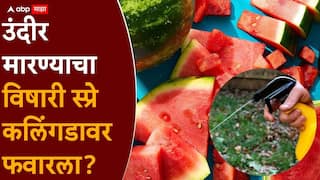 Mumbai Crime Family death Pydhonie: मुंबईतील कुटुंबाच्या मृत्यूबाबत महत्त्वाची अपडेट, मुघल बिल्डिंगमधील उंदरांशी कनेक्शन, विषारी वड्या अन् स्प्रे सापडला