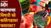Mumbai Crime Family death Pydhonie: मुंबईतील कुटुंबाच्या मृत्यूबाबत महत्त्वाची अपडेट,  मुघल बिल्डिंगमधील उंदरांशी कनेक्शन, विषारी वड्या अन् स्प्रे सापडला