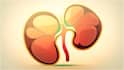 Kidney Damage Symptoms : కిడ్నీలు దెబ్బతింటే.. ఉదయాన్నే కనిపించే సంకేతాలు ఇవే, అస్సలు నిర్లక్ష్యం చేయొద్దు