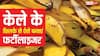 केले खाकर छिलके गमले में दबा देते हो? ऐसे नहीं बनता फर्टीलाइजर, नोट कर लें तरीका