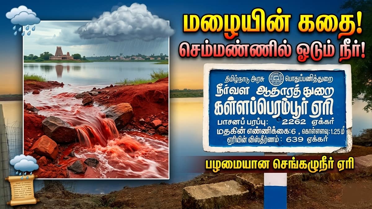 தஞ்சை கள்ளப்பெரம்பூரின் ‘செங்கழுநீர்’ ஏரி: ஒரு துளி மழையும், ஒரு காலத்தின் வரலாறும்!