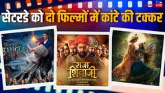 'राजा शिवाजी' ने फिर भरी हुंकार, 'भूत बंगला' का भी जलवा, जानें शनिवार को किसने मारी बाजी