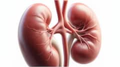 Kidney Damage Symptoms : కిడ్నీలు దెబ్బతింటే.. ఉదయాన్నే కనిపించే సంకేతాలు ఇవే, అస్సలు నిర్లక్ష్యం చేయొద్దు
