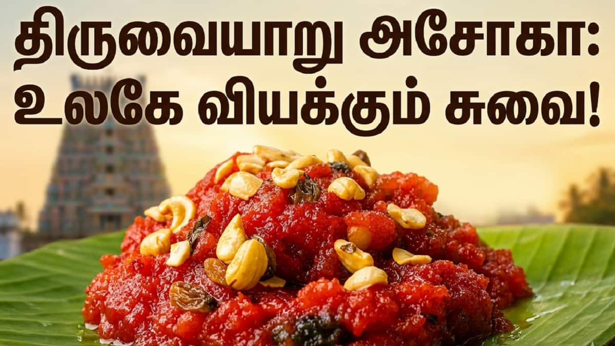 காவிரி மண்ணின் கலைநயமும், திருவையாறு அசோகாவின் தனித்துவமும்: ஒரு சுவையான பார்வை