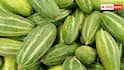 Kitchen Garden Tips: किचन गार्डन में ऐसे उगाएं ताजे परवल, बाहर से सब्जी खरीदने की टेंशन हो जाएगी खत्म