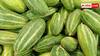 Kitchen Garden Tips: किचन गार्डन में ऐसे उगाएं ताजे परवल, बाहर से सब्जी खरीदने की टेंशन हो जाएगी खत्म