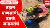 Dahanu Water Scarcity Special Report : डहाणूमध्ये पिण्याच्या पाण्यासाठी एक किलोमीटर पायपीट, जनावरांसोबतच डबक्यातील पाणी पिण्याची वेळ