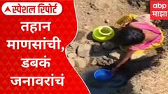 Dahanu Water Scarcity Special Report : डहाणूमध्ये पिण्याच्या पाण्यासाठी एक किलोमीटर पायपीट, जनावरांसोबतच डबक्यातील पाणी पिण्याची वेळ