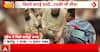 Breaking: Ghaziabad Wedding Sparks Debate Over Massive Dowry Worth Crores in Luxury Gifts