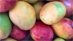 Mangoes and Food Combinations : మామిడి పండుతో కలిపి తినకూడని ఫుడ్స్ ఇవే.. తింటే వచ్చే సమస్యలు ఇవే