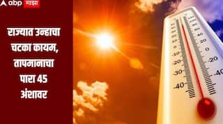 राज्यात उन्हाचा चटका कायम, तापमानाचा पारा 45 अंशावर, कोणत्या जिल्ह्यात किती तापमानाची नोंद? 