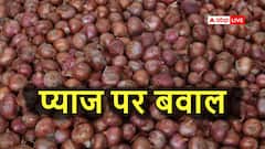 महाराष्ट्र: प्याज ने निकाले आंसू! 1262 किलो बेचकर घाटे में किसान, जेब से देना पड़ा 1 रुपया