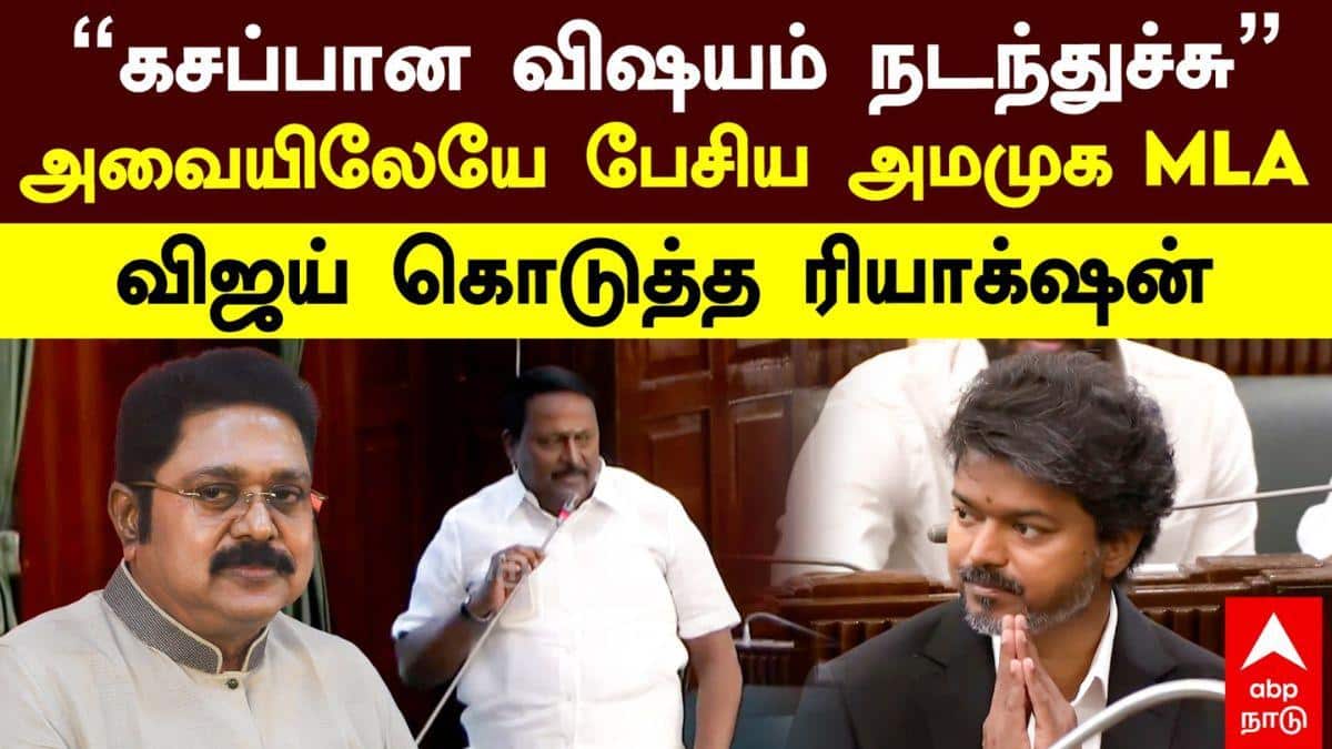 TN Assembly: ”கசப்பான விஷயம் நடந்துச்சு” பேரவையில் CM விஜய்க்கு சூசகமாக மெசேஜ் சொன்ன அமமுக MLA - வீடியோ