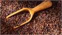Brown Rice : బ్రౌన్ రైస్ తింటే కలిగే అద్భుత ప్రయోజనాలు.. వైట్ రైస్ కంటే ఎందుకు బెస్ట్ అంటే
