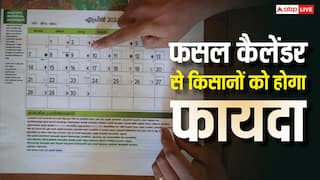 फसल कैलेंडर देखकर करेंगे खेती तो कमाएंगे लाखों, किसान जान लें जरूरी बात