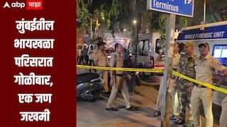 धक्कादायक! मुंबईतील भायखळा परिसरात गोळीबार; एक जण जखमी, हल्लेखोर पसार, पोलीस घटनास्थळी दाखल 
