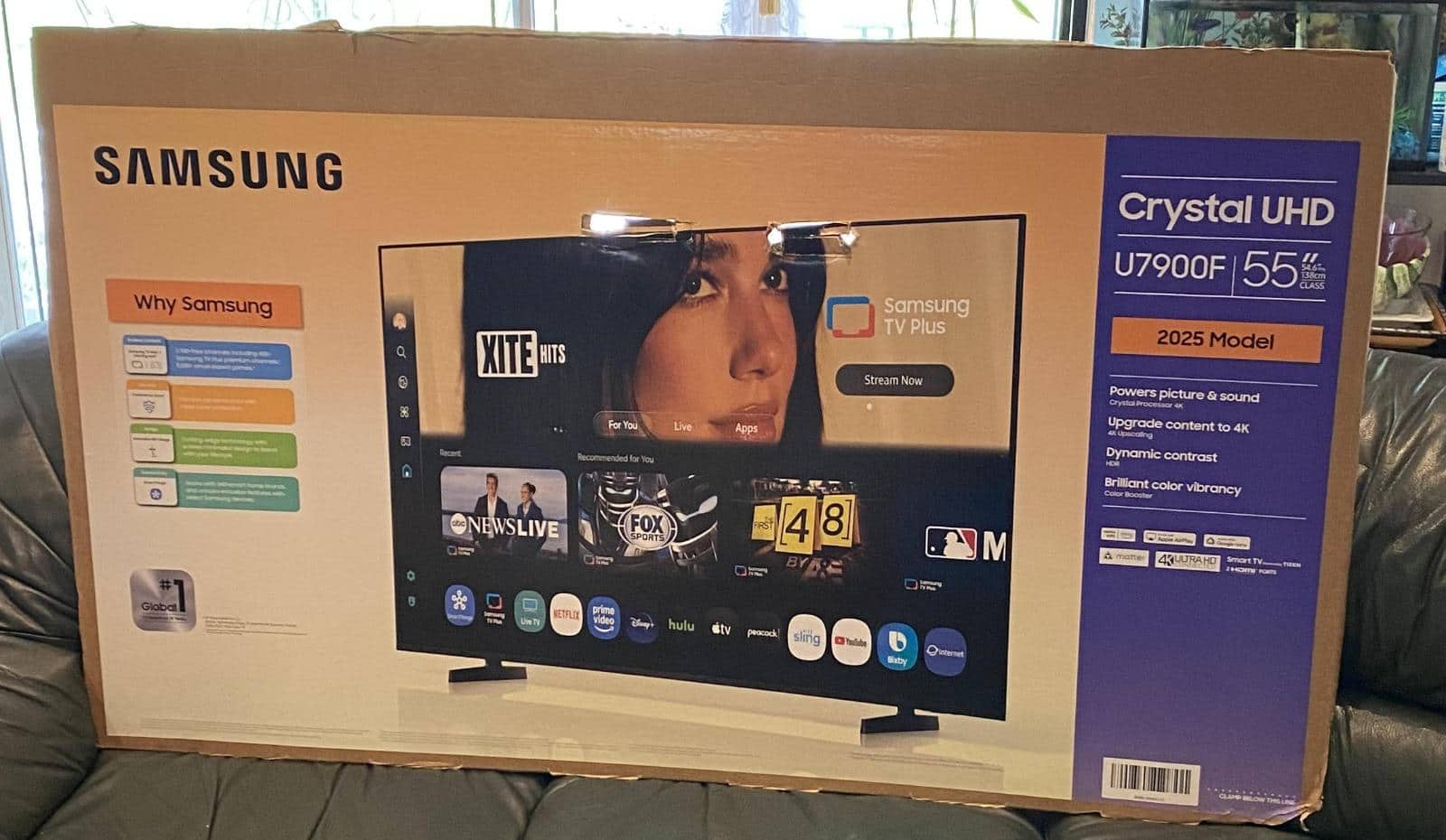Dua Lipa Sued Samsung For Publicity Rights Copyright: सुप्रसिद्ध गायिकेमुळे सॅमसंग कंपनीच्या अडचणी वाढल्या; फक्त फोटोमुळे ठोकला 143 कोटींचा दावा, नेमकं प्रकरण काय?