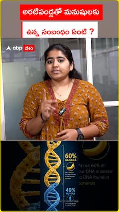 అరటిపండ్లతో.. మనుషులకు ఉన్న సంబంధం ఏమిటి..?