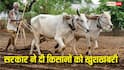 MSP के लिए मंजूर हुए 2.60 लाख करोड़, कैबिनेट से किसानों के लिए आई खुशखबरी, जानिए कैसे होगा फायदा
