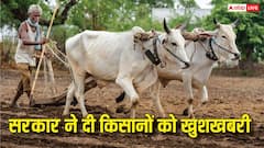 MSP के लिए मंजूर हुए 2.60 लाख करोड़, कैबिनेट से किसानों के लिए आई खुशखबरी, जानिए कैसे होगा फायदा