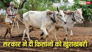 MSP के लिए मंजूर हुए 2.60 लाख करोड़, कैबिनेट से किसानों के लिए आई खुशखबरी, जानिए कैसे होगा फायदा