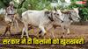 MSP के लिए मंजूर हुए 2.60 लाख करोड़, कैबिनेट से किसानों के लिए आई खुशखबरी, जानिए कैसे होगा फायदा