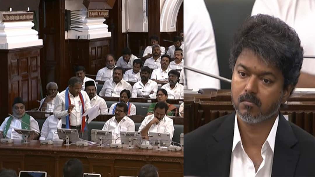 ஜோதிடம், பில்லிசூனியம்.. மூடநம்பிக்கைக்கு இடம் கொடுப்பதா?- தவெக அரசை வெளுத்து வாங்கிய விசிக