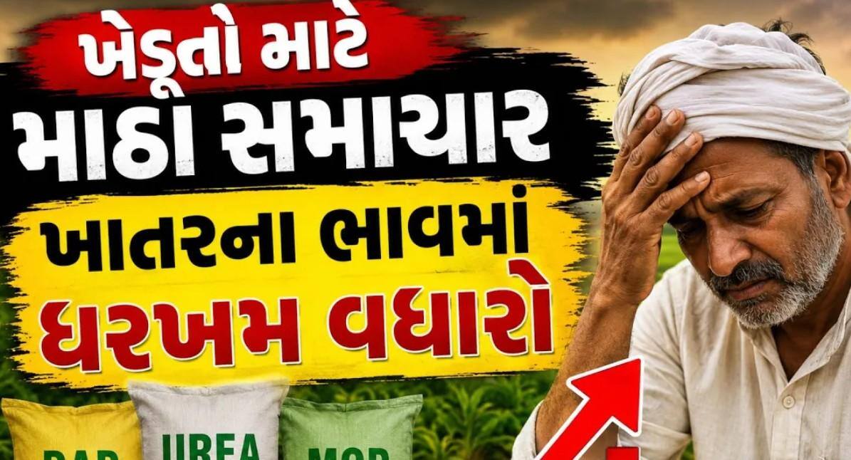 ખેડૂતો માટે માઠા સમાચાર, NPK ખાતરના ભાવમાં થયો ધરખમ વધારો