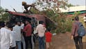 Nashik Umarane Bus Accident : चालत्या बसमध्ये चालकाला हृदयविकाराचा झटका आला, भरधाव एसटी पलटी होऊन झाडावर कोसळली; मुंबई-आग्रा महामार्गावरील घटना
