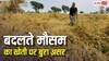 शहर वालों के मजे लेकिन बदलते मौसम की किसानों पर पड़ रही मार, कैसे बेमौसम बरसात बेहाल हो रही किसानी?