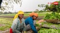 UP Kharif crop subsidy scheme 2026 : किसानों को 50% सब्सिडी पर खरीफ बीज दे रही यह सरकार, जानें कैसे मिलेगा इसका फायदा?