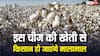 खेत में इस ट्रिक के साथ उगाएं सफेद सोना, पूरे साल भारी रहेगी जेब