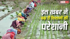 तेल और गैस संकट के बीच खाद संकट की सता रही चिंता, किसान भाइयों को परेशान कर देगी ये खबर