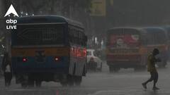 Weather Update: ঝড়-বৃষ্টি কোন কোন জেলায়? দুশ্চিন্তার খবর শোনাল আবহাওয়া দফতর