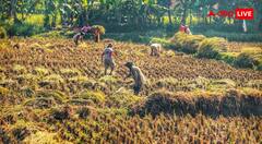 UP Kharif crop subsidy scheme 2026 : किसानों को 50% सब्सिडी पर खरीफ बीज दे रही यह सरकार, जानें कैसे मिलेगा इसका फायदा?