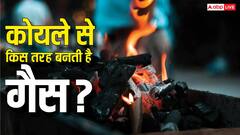 कोयले से कैसे बनाई जाती है गैस, जानें सरकार के इस फैसले से किसानों को कितना होगा फायदा?