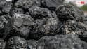 Pakistan Coal Reserves: पाकिस्तान के पास कितना है कोयले का भंडार? जानिए वहां कैसे हैं तेल और गैस के ताजा हालात