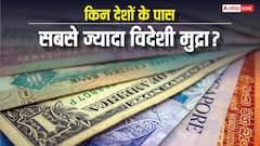 विदेशी मुद्रा भंडार के मामले में टॉप-10 देश कौन-से, किस नंबर पर आता है भारत?