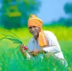 ਕਿਸਾਨਾਂ ਨੂੰ ਸਭ ਤੋਂ ਵੱਧ ਨੁਕਸਾਨ ਪਹੁੰਚਾਉਂਦੀਆਂ ਹਨ ਇਹ ਗਲਤੀਆਂ