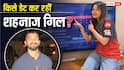 आरसीबी क्रिकेटर देवदत्त पडिक्कल को डेट कर रही हैं शहनाज गिल? हो रही ऐसी चर्चा