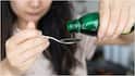 Oil Pulling : ఆయిల్ పుల్లింగ్ చేయాల్సిన విధానం ఇదే.. ఇలా చేస్తేనే ఆరోగ్యానికి ఎక్కువ ప్రయోజనం