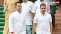 ‘कमजोर इरादे, संवाद की कमी और...’, असम विधानसभा चुनाव में कांग्रेस क्यों हारी? एक्सपर्ट बड़ी वजह बताई
