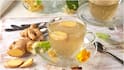 Ginger Tea : ఉదయాన్నే అల్లం టీ తాగితే కలిగే లాభాలు.. వేసవిలో తాగవచ్చా?