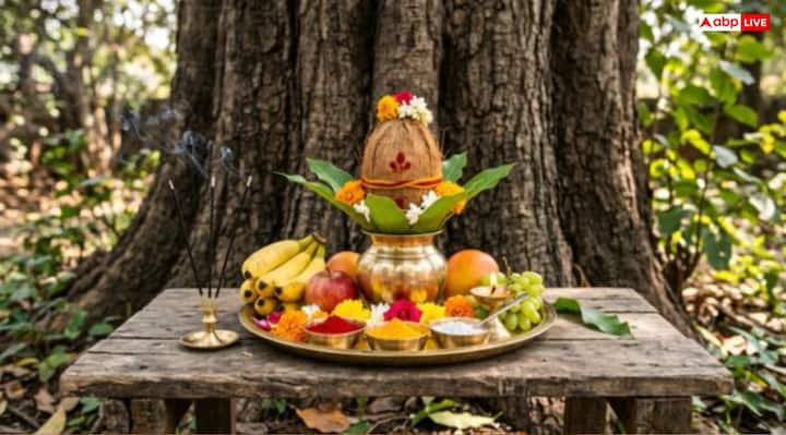 वट सावित्री व्रत में पूजा के लिए वट वृक्ष, रोली-अक्षत, कच्चा सूत, फल-मिठाई, बांस का हाथ पंखा, कथा वाली पुस्तक, जल से भरा कलश और दीपक-धूप जैसी सामग्रियां आवश्यक होती है. इस दिन सूर्योदय से लेकर पूर्वाह्न तक पूजा होती है.
