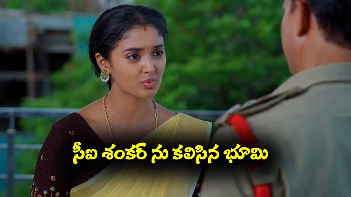 Meghasandesam Serial Today May 14th: ‘మేఘసందేశం’ సీరియల్‌: డీఎన్‌ఏ టెస్ట్‌కు అపూర్వ శాంపిల్స్‌ ఇస్తానన్న భూమి – అంతా గమనించిన నక్షత్ర  